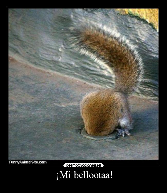 ¡Mi bellootaa! -