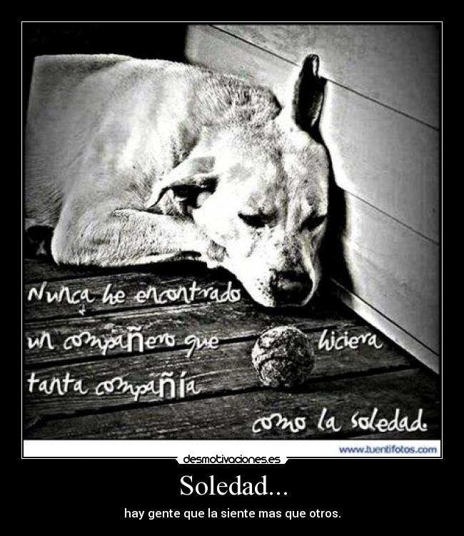 Soledad... - 