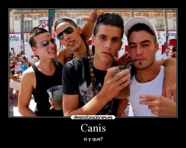 carteles  desmotivaciones