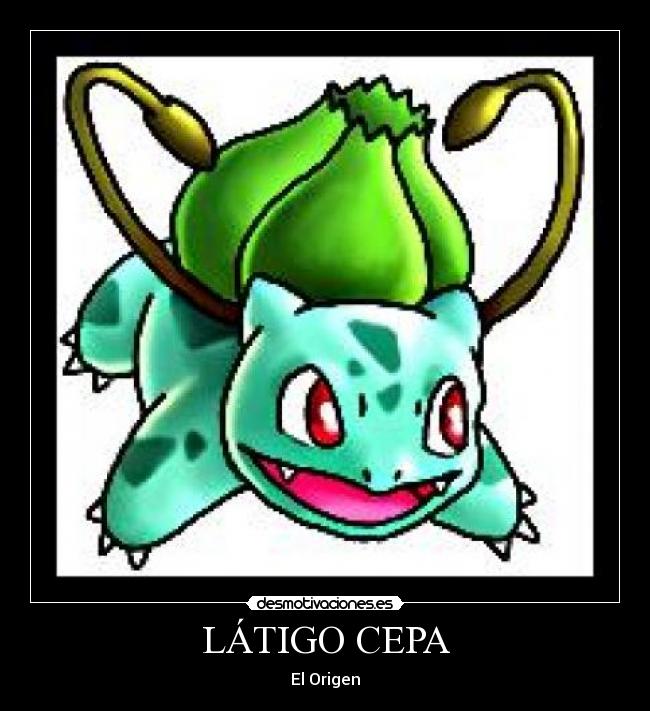 LÁTIGO CEPA -