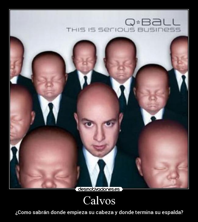 Calvos - ¿Como sabrán donde empieza su cabeza y donde termina su espalda?