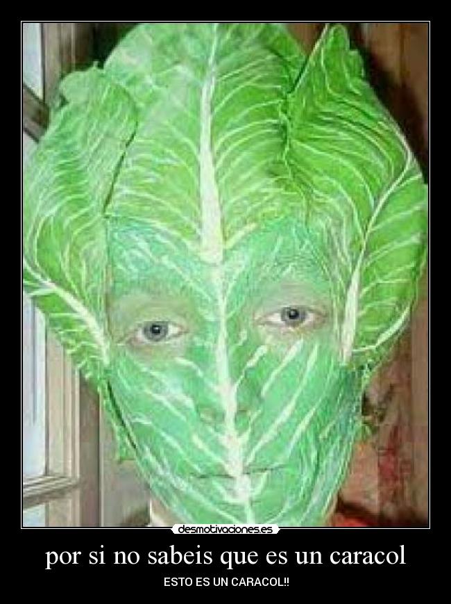 por si no sabeis que es un caracol -