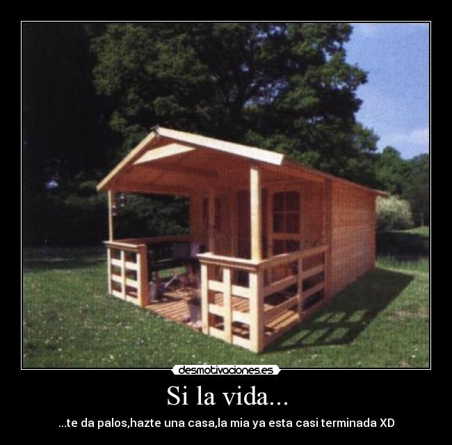 carteles vida laurita desmotivaciones