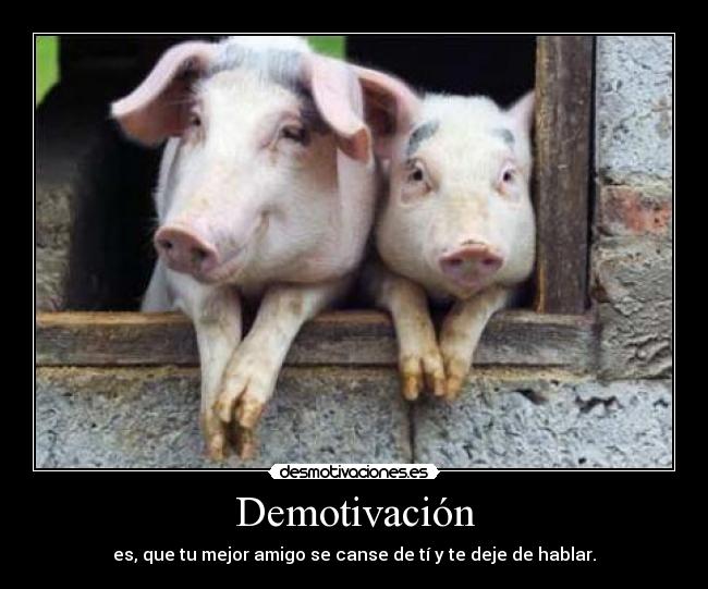 Demotivación carteles amistad, tristeza,abandono desmotivaciones