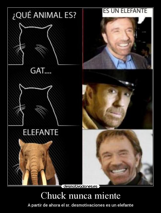 Chuck nunca miente -