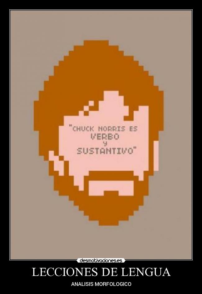 LECCIONES DE LENGUA -