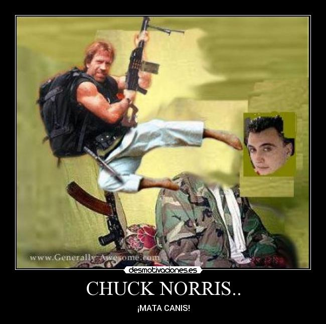 CHUCK NORRIS.. - ¡MATA CANIS!