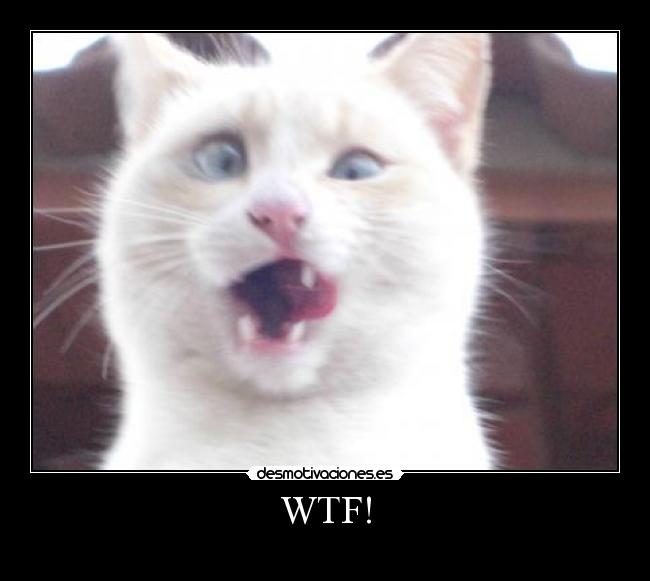 WTF! -
