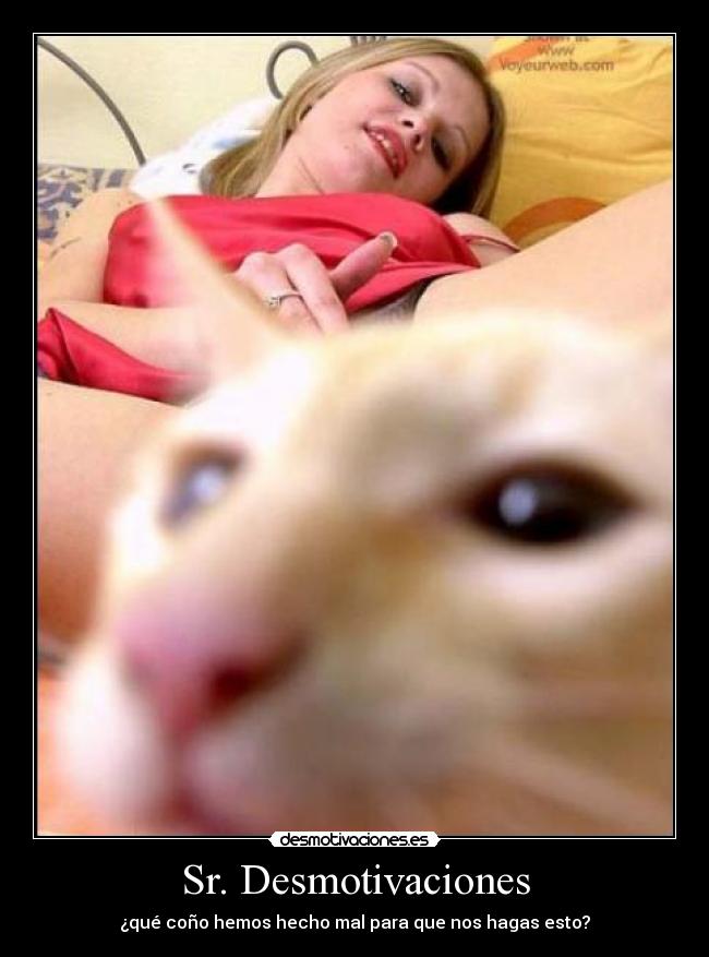 Sr. Desmotivaciones -
