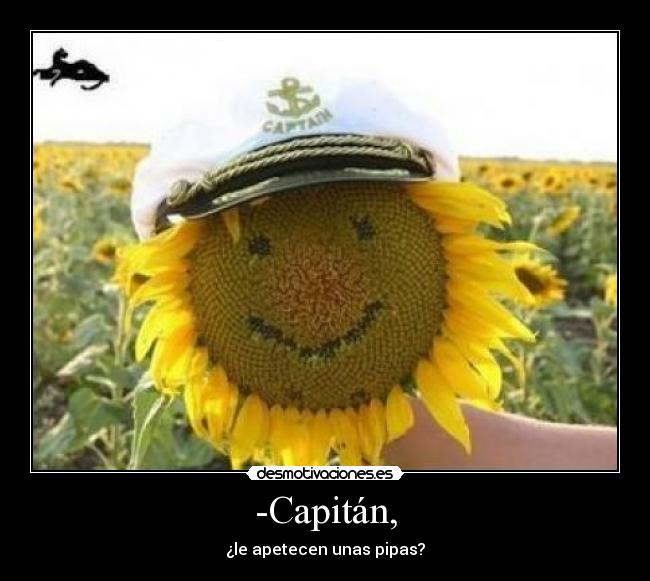 -Capitán, - 