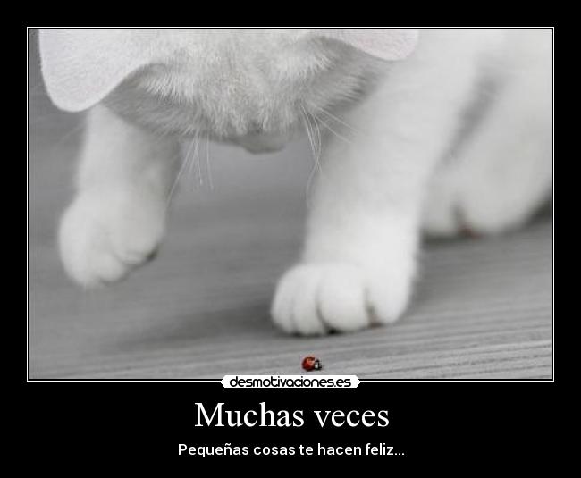 Muchas veces - Pequeñas cosas te hacen feliz...