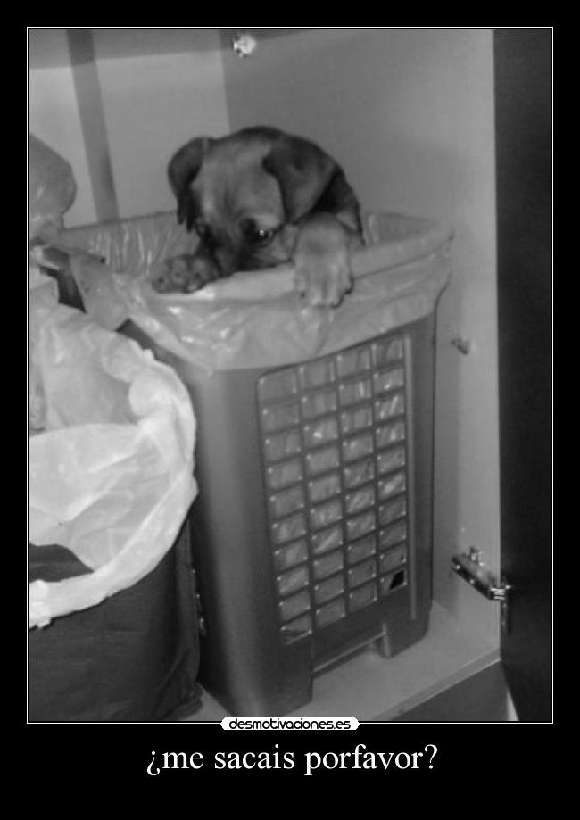 ¿me sacais porfavor? -
