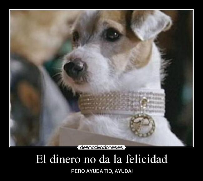 El dinero no da la felicidad - 