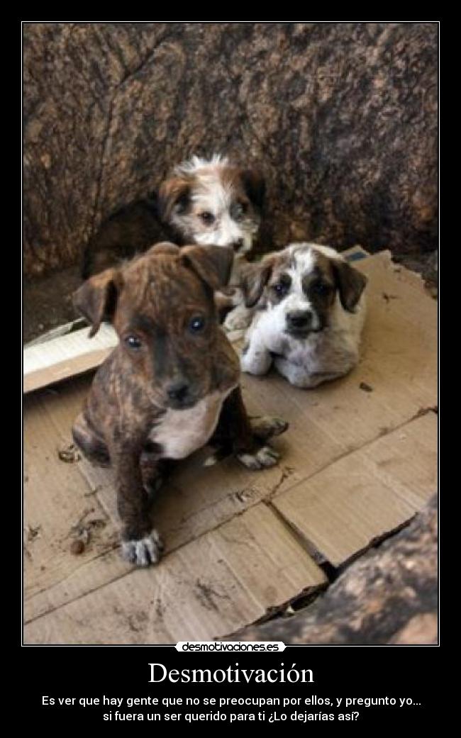 carteles jclik desmotivaciones