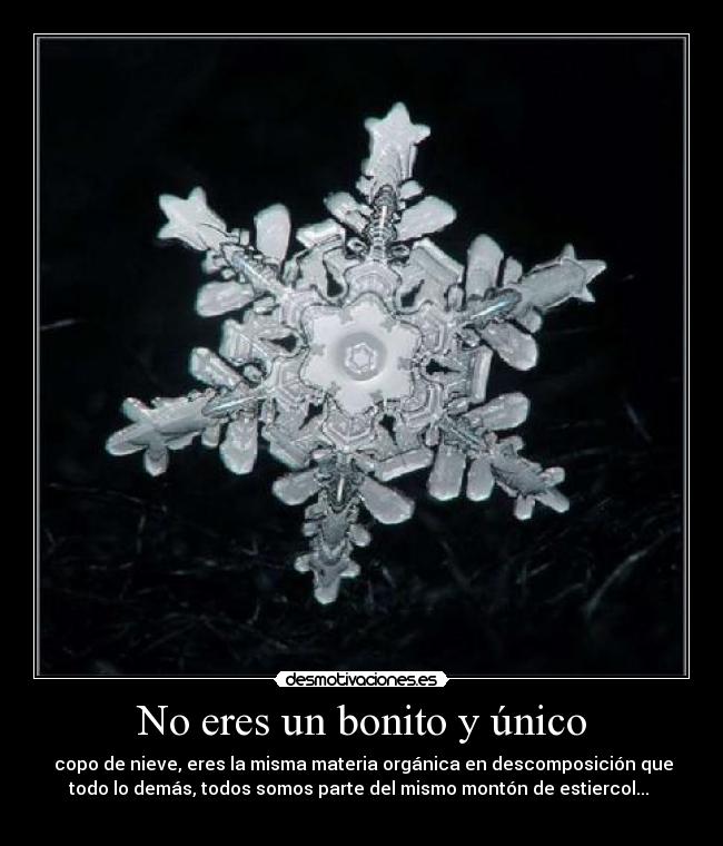 No eres un bonito y único -  copo de nieve, eres la misma materia orgánica en descomposición que
todo lo demás, todos somos parte del mismo montón de estiercol... 
