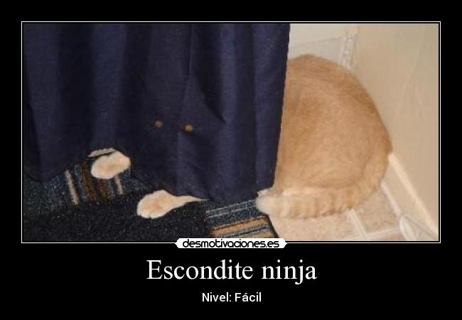 Escondite ninja - 