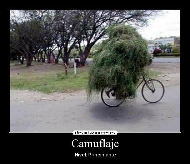 Camuflaje - Nivel: Principiante