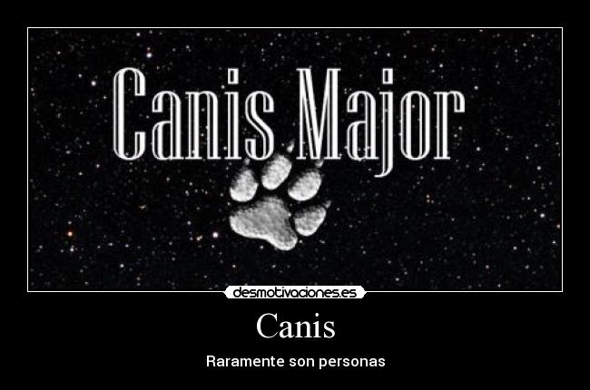 carteles canis animales raro personas desmotivaciones