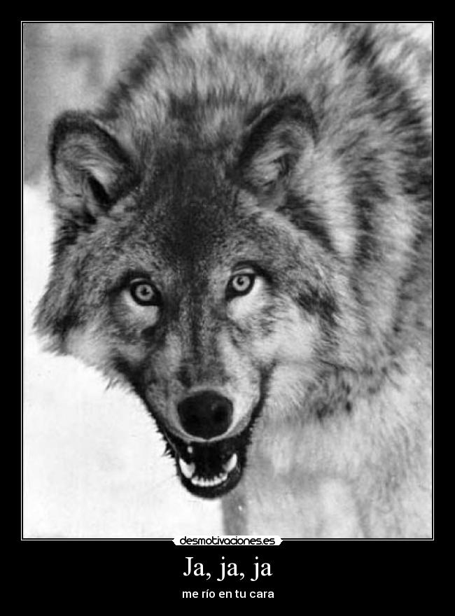 carteles lobo desmotivaciones