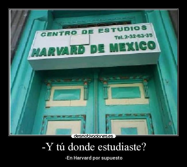-Y tú donde estudiaste? - 