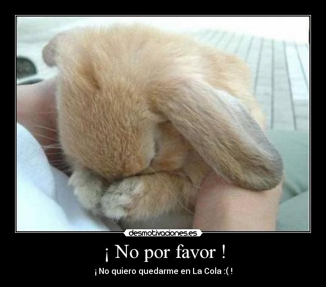 ¡ No por favor ! - 
