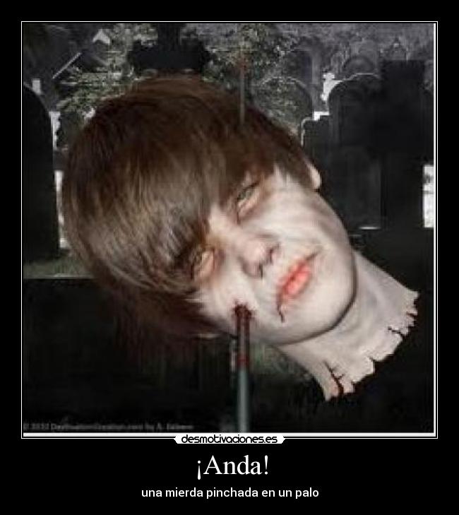 ¡Anda! - una mierda pinchada en un palo