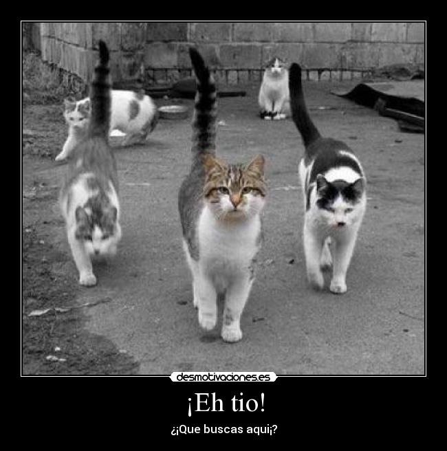 ¡Eh tio! - ¿¡Que buscas aqui¡?