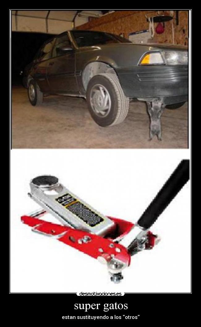 super gatos - estan sustituyendo a los otros