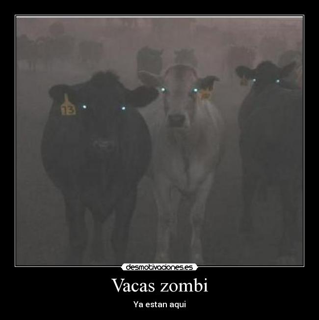 Vacas zombi - 