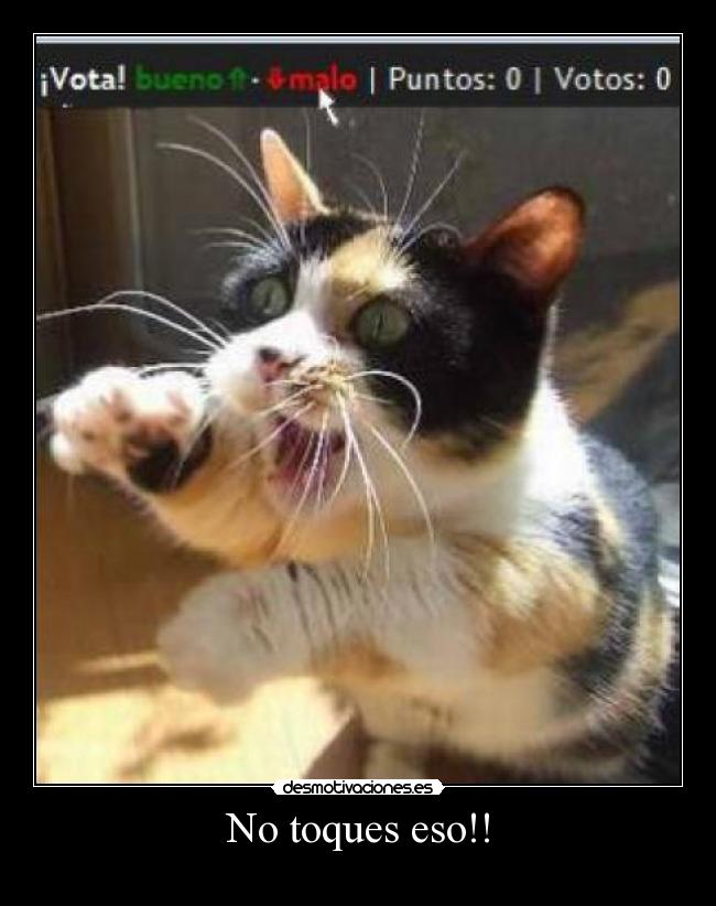 No toques eso!! - 