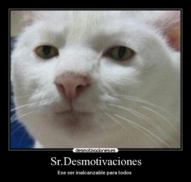 Sr.Desmotivaciones - Ese ser inalcanzable para todos