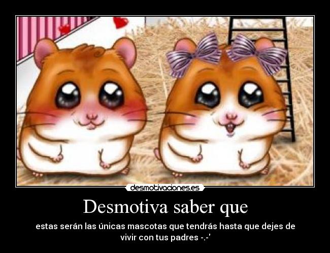 carteles hamsters mascotas casa padres desmotivaciones