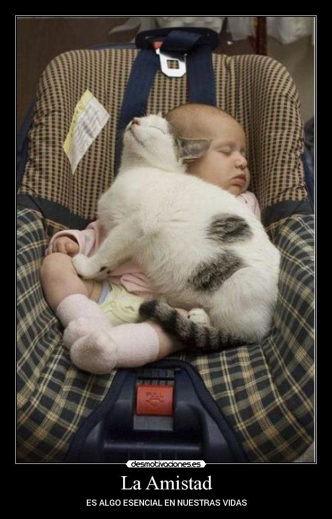 La Amistad - 