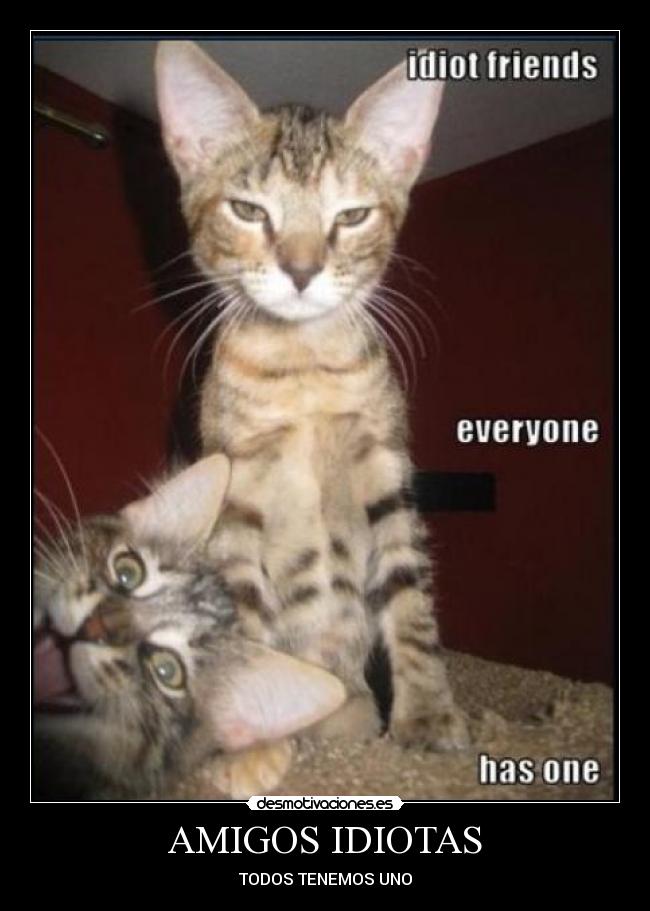 carteles amigos fdgf desmotivaciones