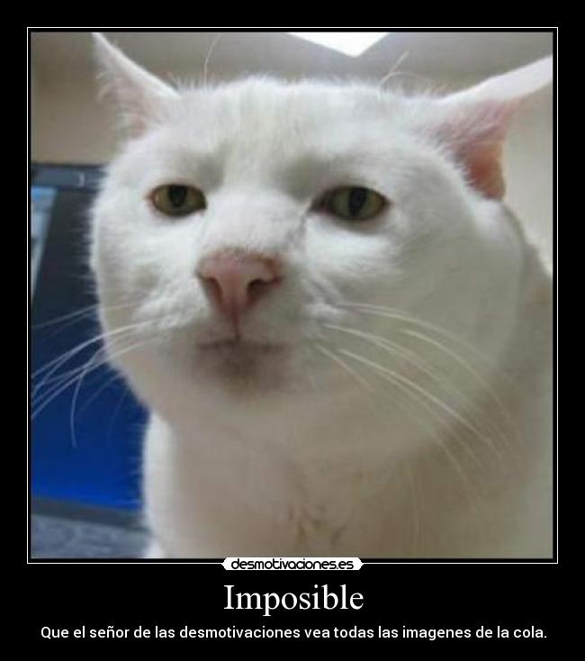 Imposible - Que el señor de las desmotivaciones vea todas las imagenes de la cola.