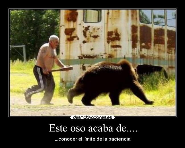 Este oso acaba de.... - ...conocer el límite de la paciencia