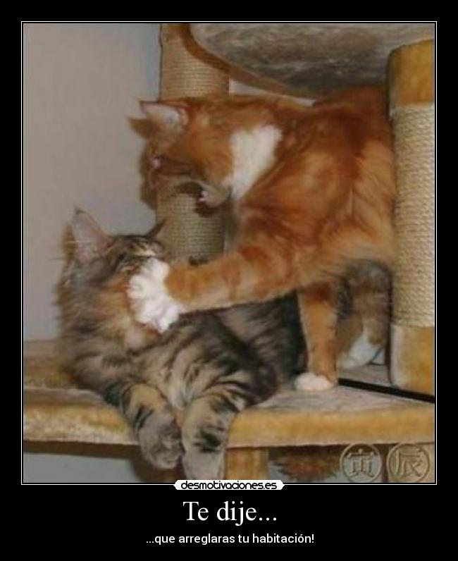 Te dije... - ...que arreglaras tu habitación!