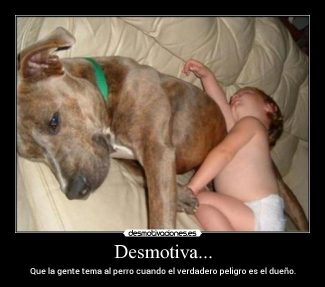 carteles pitbull ninos desmotiva peligro verdadero jotajotamv desmotivaciones