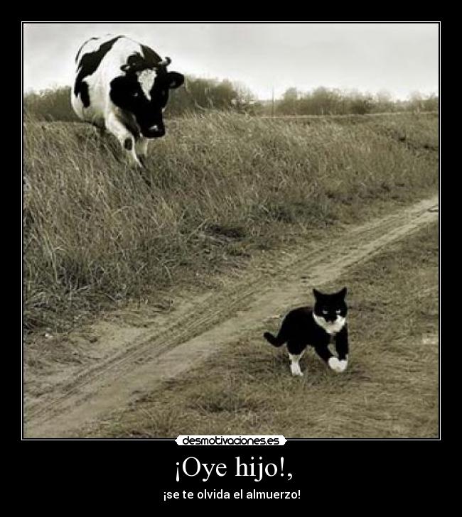 ¡Oye hijo!, - ¡se te olvida el almuerzo!