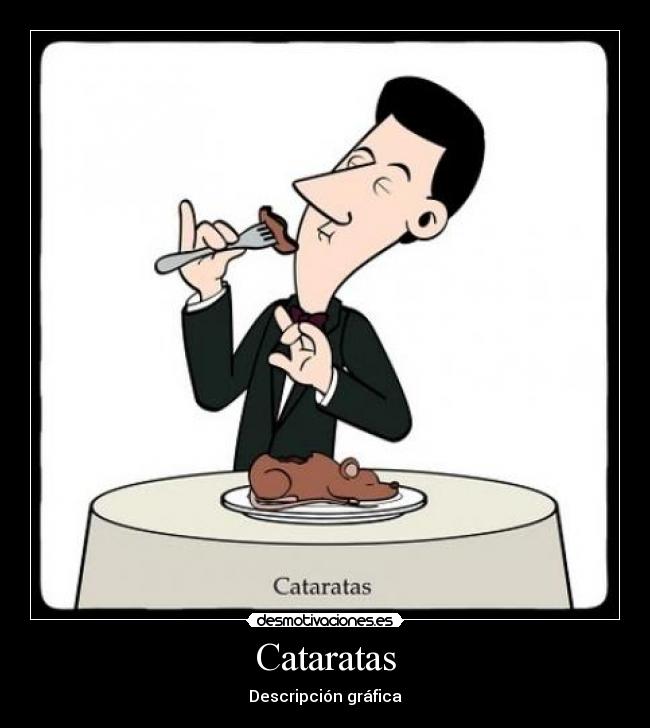 Cataratas - Descripción gráfica