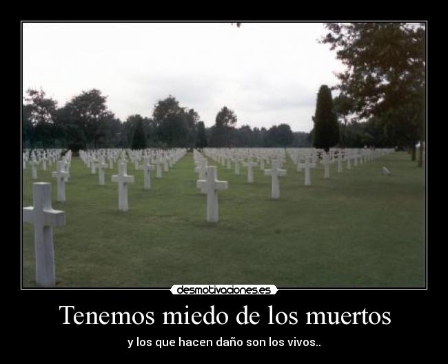 Tenemos miedo de los muertos - 