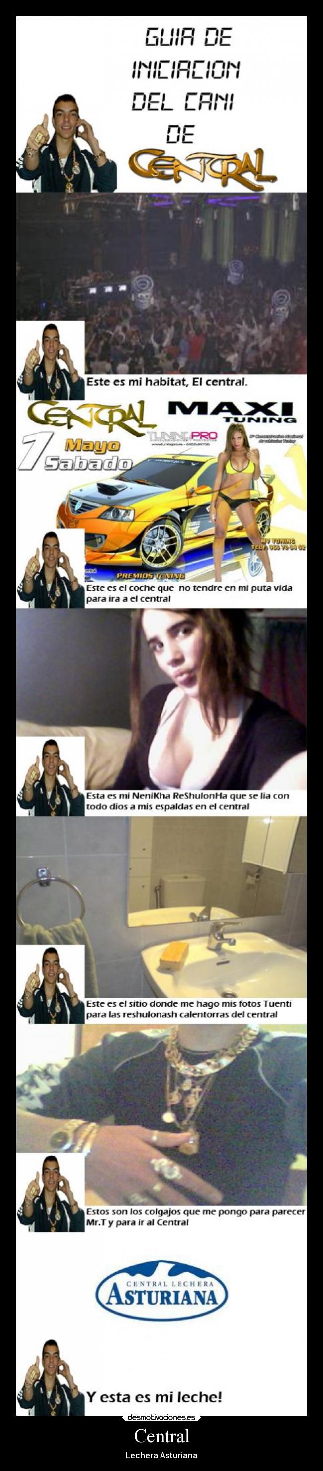 carteles cani central lechera asturiana desmotivaciones