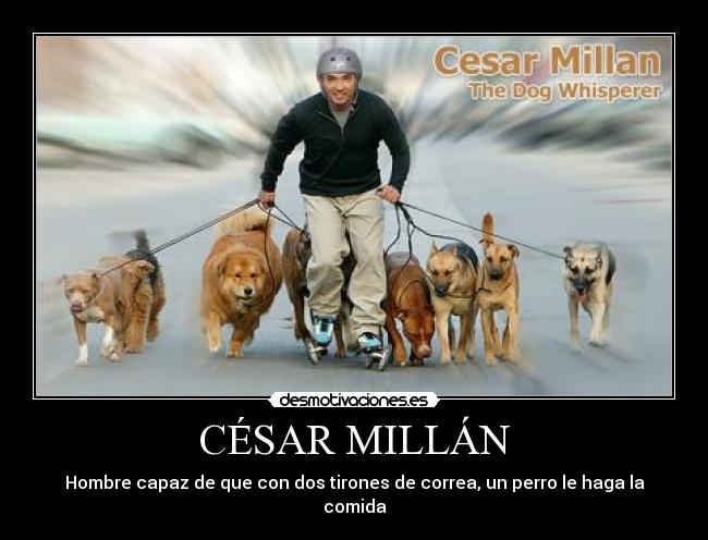 CÉSAR MILLÁN - Hombre capaz de que con dos tirones de correa, un perro le haga la comida