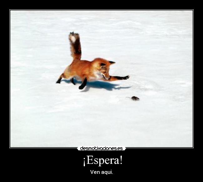 ¡Espera! - Ven aqui.