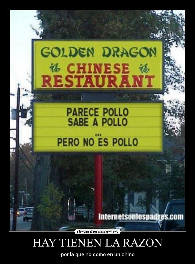 HAY TIENEN LA RAZON -