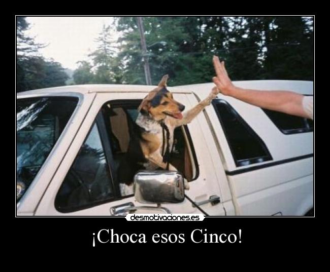 ¡Choca esos Cinco! - 