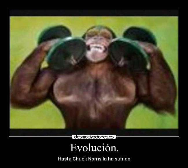 Evolución. - 