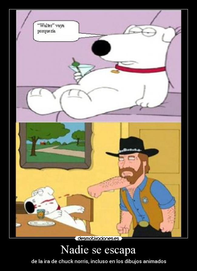 Nadie se escapa - de la ira de chuck norris, incluso en los dibujos animados