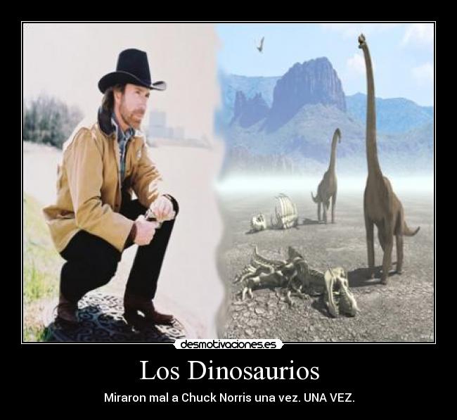 Los Dinosaurios - Miraron mal a Chuck Norris una vez. UNA VEZ.