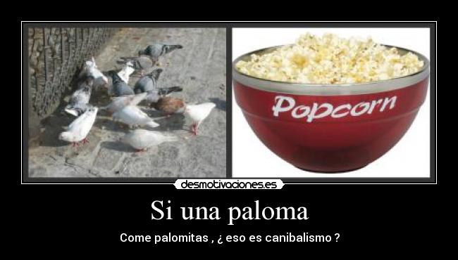 Si una paloma - 